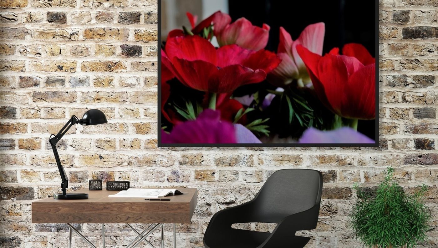 זר כלניות באדום בהיר 8114 -59