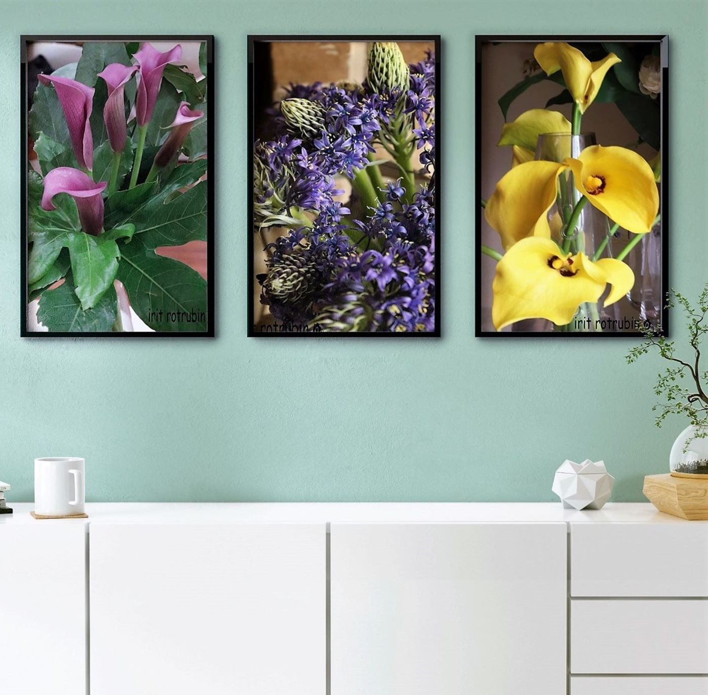 4223 -73 /כחול 2050 -57/סגול 0400 -74