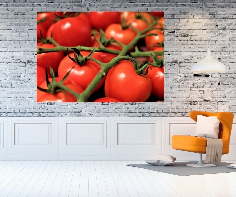 עגבנייה 0457 -32