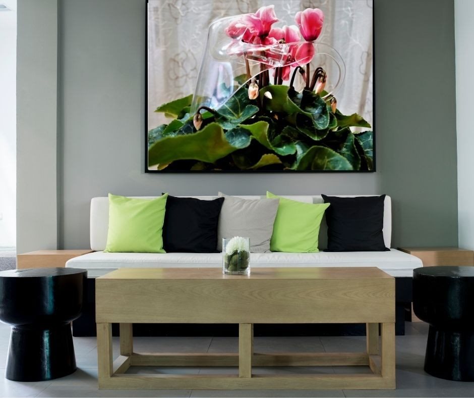 מסכת קורונה מגינה על רקפת 0586- 97