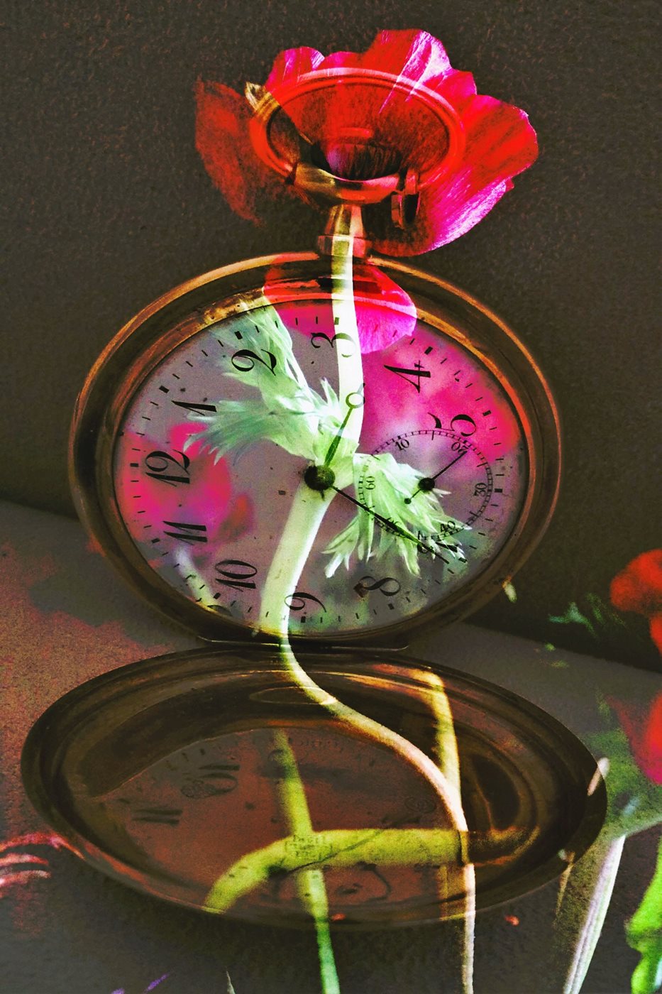 שעון סבא עם כלנית אסימטרית 00263