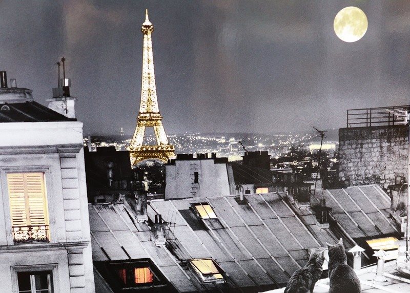 חתולים על גג פריזאי בגוון ש/ל 0723 -3