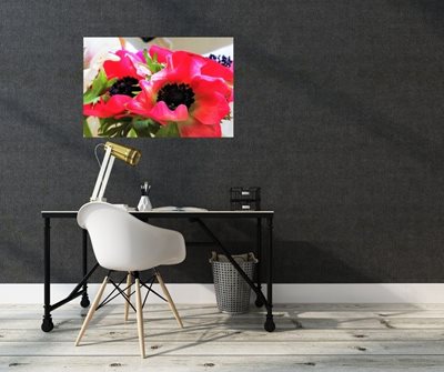 כלניות אדומות 8081 - 64