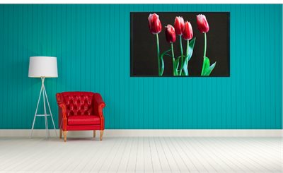 102 - 3  שילוב תמונה בחדר